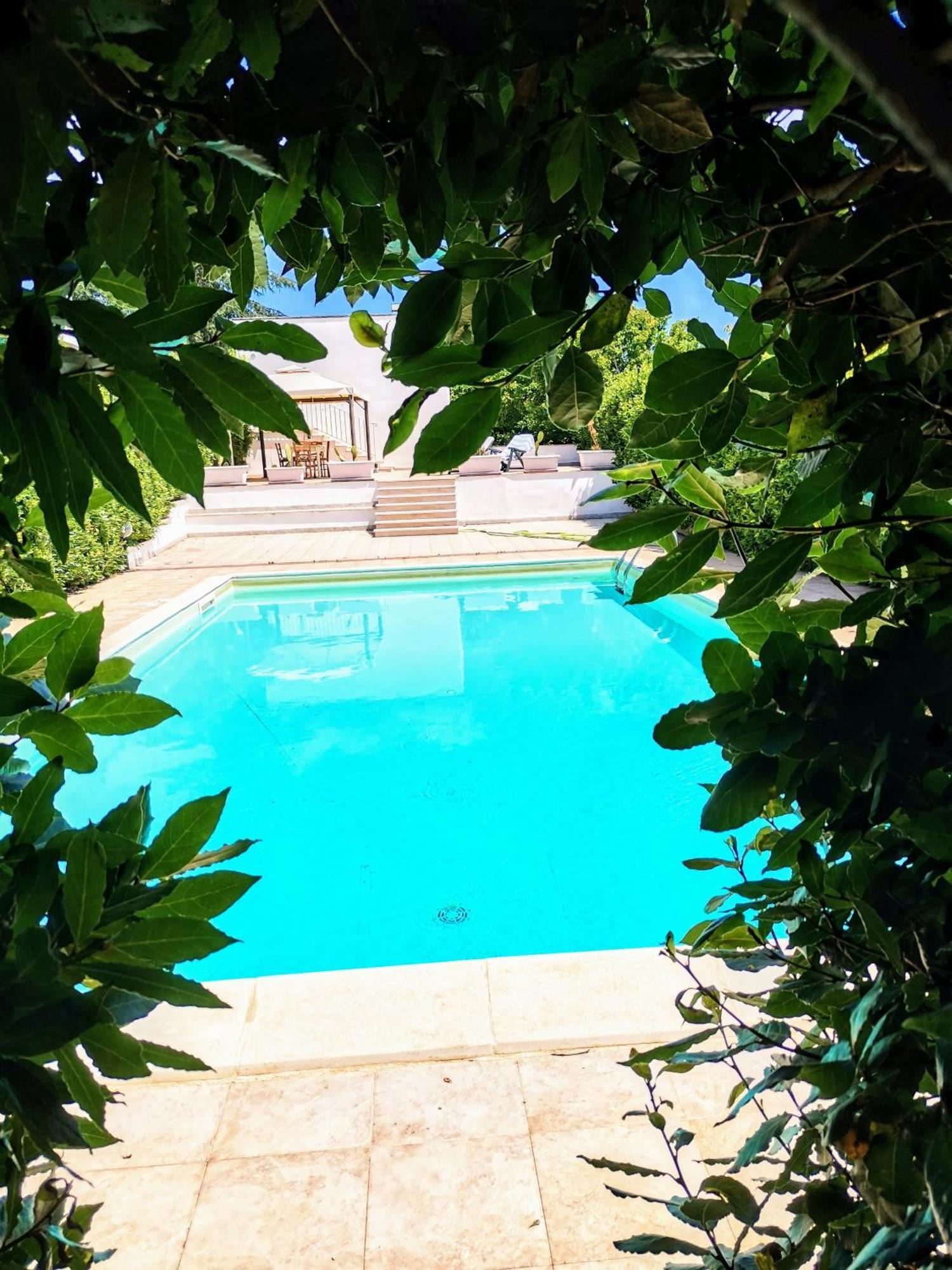 马丁纳弗兰卡Trulli And Pool - I Cactus别墅 外观 照片